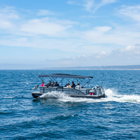 Bateau ponton de 27 pieds pour le marché européen et australien, avec sièges de luxe, configuration de pêche, auvent Bimini et plateforme de bain, moteur hors-bord