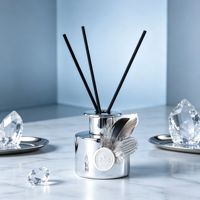 Diffuseur de parfum sans flamme en verre avec plume argentée, sans alcool, 120 ml, parfum longue durée, rafraîchisseur d'air pour la maison