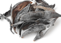 BIOVERSE Vente directe usine Extrait de Sangsue de Qualité Alimentaire 10:1 Extrait aqueux Poudre Lyophilisée