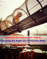 Filet en acier inoxydable pour cage à oiseaux, filet de protection pour volière, filet de protection pour oiseaux