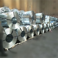 لفائف فولاذية مجلفنة Dx51d Z600 بدون بريق، معيار ASTM A53، ألوزينك في تيانجين، لفائف أسلاك مسطحة