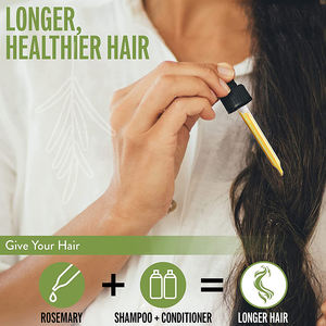 महिलाओं के तेज बालों के उपचार के लिए रोस्सेरी तेल बालों का विकास तेल - Product Image 4