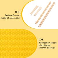 10er-Pack 6-1/4-Zoll gelbe Bienenstock-Bienen rahmen mit gewachs tem Kiefernholz fundament Kommerzieller nicht zusammen gebauter Zustand