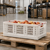 Caisses pliantes en plastique HDPE recyclables, ventilées, empilables, pour la distribution logistique