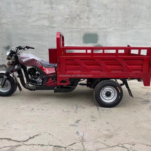 Tricycle cargo à essence à 3 roues, moteur 1000W, fabrication chinoise, type moto 48V - Vente flash - Product Image 6