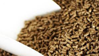 Alimentation animale : Farine de betterave sucrière granulée 100 % soluble dans l'eau, sans acides aminés, qualité alimentaire, cristalline