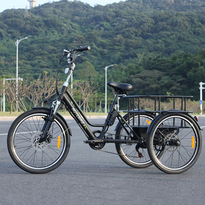 Vélo <span class=keywords><strong>électrique</strong></span> longue portée Trike adulte 36v vélo cargo <span class=keywords><strong>électrique</strong></span> <span class=keywords><strong>avec</strong></span> <span class=keywords><strong>toit</strong></span> 250w Tricycle <span class=keywords><strong>électrique</strong></span> bas prix - Product Image 6