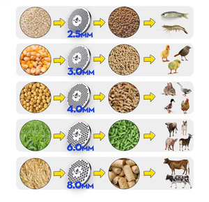 Trong Nước Sử Dụng Xăng Động Cơ Phong Cách Thức Ăn Viên Mill Động Cơ Diesel Thức Ăn Chăn Nuôi Máy Móc Chế Biến Thức Ăn Máy - Product Image 6