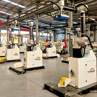 Robot de paletización colaborativo con sistema de paletización de selección y colocación de brazos para embalaje de productos terminados