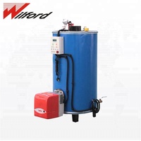 Nouvelle chaudière à eau chaude au gaz verticale automatique à haute efficacité industrielle WILFORD