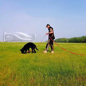 Ropa deportiva portátil antiagarrotamiento, traje de mordedura para adiestramiento de manejador, chaleco entrenador de mascotas, conjunto de Collar para perros y perros - Product Image 5