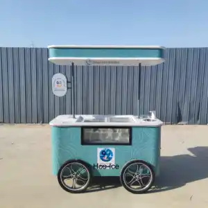 Ekonomi dondurma vitrin Popsicle dondurucu itme sepeti dondurma dondurma ve soğuk içecekler için portatif araba