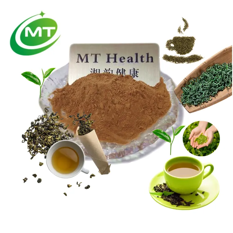 純粋な有機緑茶エキス粉末緑茶ポリフェノールインスタント緑茶エキス