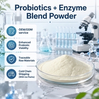Poudre de mélange de probiotiques et d'enzymes à marque privée OEM contenant du Bifidobacterium Longum CCFM760 avec rennet microbien pour la santé intestinale
