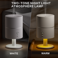 Diffuseur d'arômes ultrasonique 260 ml, lampe de table, diffuseur d'huiles essentielles avec lumière nocturne chaude, 3H 5H, vente en gros d'usine OEM ODM B2B