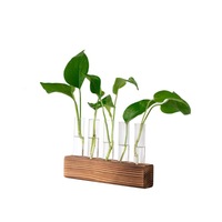 Vase en tube à essai hydroponique, cadre en bois simple, design rétro nostalgique, contenant en verre pour arrangement floral de table pour mariage