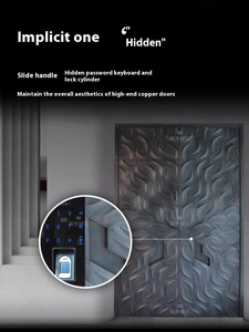 Copper <strong>Back</strong> Panel Cast Aluminum Front <strong>Door</strong> Exterior Opening Push and Pull <strong>Door</strong> - Product Image 3