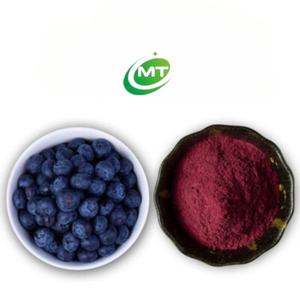 천연 월귤 나무속 추출물 분말 Vaccinium Uliginosum L 인스턴트 월귤 나무 과일 주스 분말 좋은 맛 베리 분말 - Product Image 4