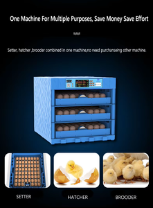 Incubadora de Huevos Pequeña a Precio de Fábrica, para Pollo, Pato, Ganso, Pavo, Reptil, Avestruz, con una Tasa de Incubación del 99%, Automática - Product Image 3