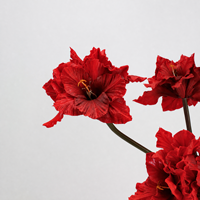 Vente directe d'usine, branches de fleurs artificielles Clivia Gladiolus, décoration, accessoires de photographie de mariage, accessoires pour la maison, PU