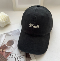 Gorras de béisbol ajustables profesionales Unisex Gorras de viaje deportivas lavables de alta calidad con logotipo personalizado para hombres y mujeres
