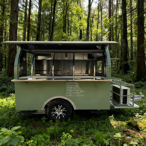 Outdoor Ice Cream Food Trailer Fully Equipped Coffee Food Truck VIN Certified Sandwich Food <b>Cart</b> - Product Image 3