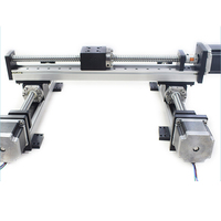Robot de pórtico de accionamiento de tornillo de bola de movimiento lineal XYZ Etapa lineal Mesa deslizante de 3 ejes Robot cartesiano