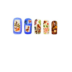 24 pezzi di pittura a olio del mondo animale europeo unghie indossabili vendita calda ispirata unghie artificiali piccolo disegno corto - Product Image 5