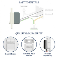 Hooanke Enchufe Inteligente WiFi Zigbee de 2.4GHz y 110-240V con Interruptor Regulador de Intensidad LED, Kit de 1000W, Compatible con Alexa y Google Home