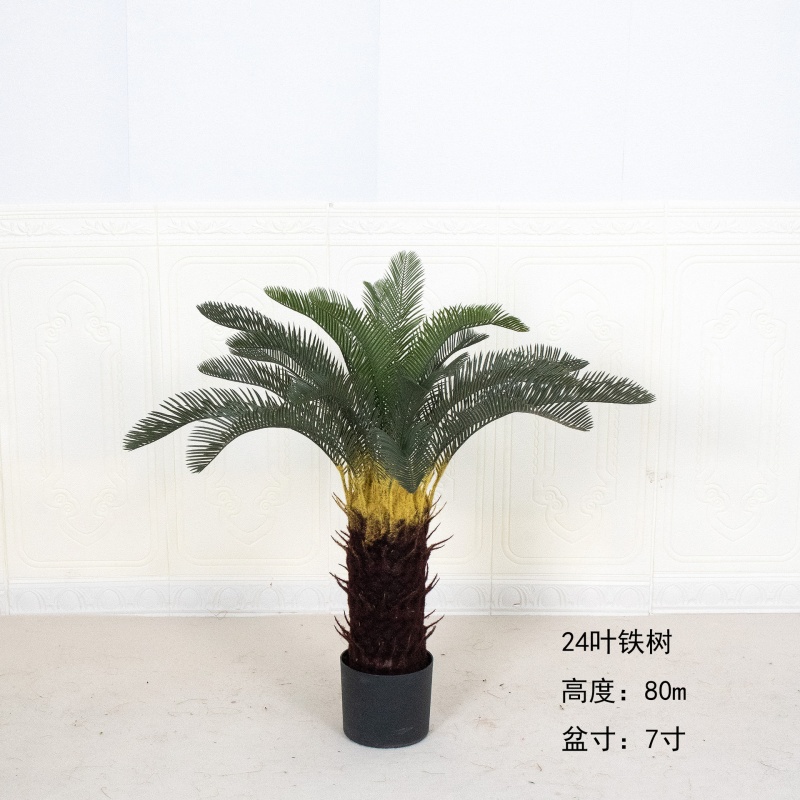 rubber tree rubber Rubber Tree  Liberty Landscape Supply