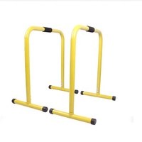 Barres parallèles portables en métal pour fitness et entraînement de force, couleur personnalisée, unisexe, antidérapantes, prix direct usine