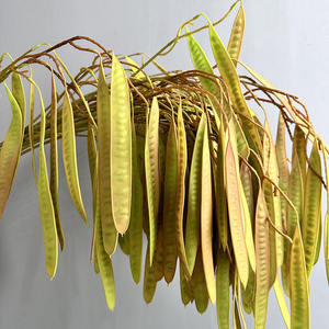 YOPIN-6076 Haricot long à tiges longues, feuilles plates, vert brunâtre, <span class=keywords><strong>plantes</strong></span> tombantes pour décoration de mariage - Product Image 5