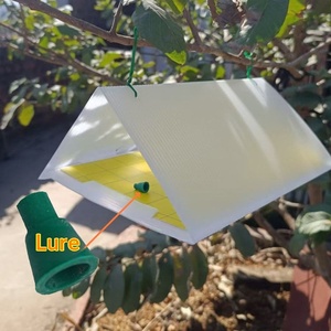 Precio al por Mayor: Trampa de Feromonas de Goma Verde para Control de Plagas de Insectos en Agricultura - Product Image 5
