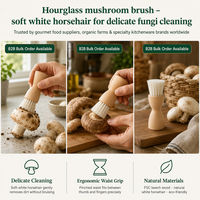 Brosse de nettoyage en crin de cheval naturel, manche en bois de hêtre, poils blancs, brosse compacte en forme de champignon