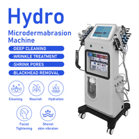 Appareil de soin du visage Jet Peel, dermabrasion, resserrement des pores, 12 en 1, nettoyage en profondeur, machine de beauté Hydra