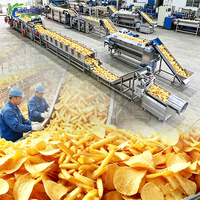 Shepody industriële productielijn voor frieten, aardappelverwerkingsmachine, CE-gecertificeerd voor commerciële diepvriesvoedselverwerkingsfabriek