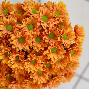 Crisantemo <span class=keywords><strong>Cheng</strong></span> <span class=keywords><strong>Huang</strong></span> Se Xi en Spray Grado A al por Mayor - Naranja para Ramos, Directo del Cultivador para Decoración de Bodas, Cadena de Frío - Product Image 1