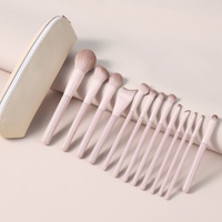 Ensemble professionnel de 13 pinceaux de maquillage, manches en plastique, poils doux de haute qualité, vegan, pour fond de teint et anticernes