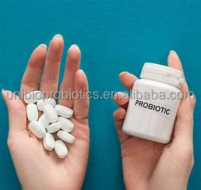 Comprimés à croquer de probiotiques composés favorisant la santé intestinale et l'immunité avec plusieurs souches de bactéries - Product Image 4