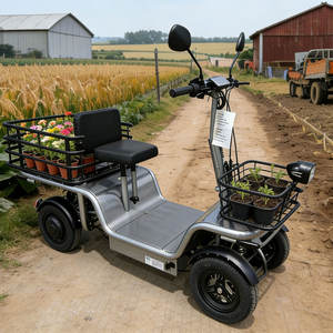 Scooter électrique 48V 250W avec moteur à engrenages pour <span class=keywords><strong>campus</strong></span> et parcs, grande capacité de chargement, avec panier de rangement arrière - Product Image 5