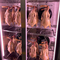 Armoire de séchage intelligente en acier inoxydable pour canard rôti avec lumière LED Remise d'usine pour barbecue boutique embryon réfrigéré