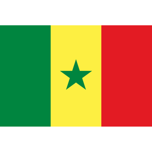 Decoración de fondo con la bandera del estado de Senegal, 300x200cm - Product Image 3