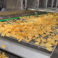Direkt vom Hersteller: Kleine Kapazität 500kg/h 300kg/h Vollautomatische Kartoffelchip-Produktionslinie mit Großer Kapazität
