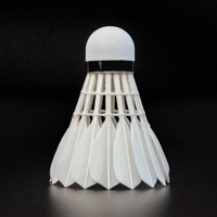 Pack de 12 volants de badminton en plumes de canard durables pour la compétition d'entraînement professionnel