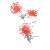Bouquet artificiel en plastique à 3 têtes, chrysanthème griffe de crabe en peluche, fleur en forme d'éventail, avec coussinet à aiguilles, flocage fait main, pour mariage et décoration intérieure
