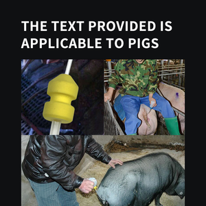 मस्यडर अनुकूलित स्वाइन इनसेमिनेशन ट्यूब उत्पादन बहु-पारस डीप माई कैथेटर, pci के लिए ल्यूलर लॉक के साथ - Product Image 6