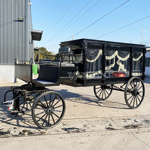 Carroza Fúnebre Europea Clásica con Elegante Diseño de Cortinas con Flecos, Vehículo para Servicios Conmemorativos - Product Image 5
