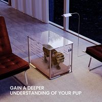Cage rectangulaire transparente en acrylique de 30 pouces pour chien, lit pour chat, lucite, maison pour chien, montage facile, cage pour chiot et chat