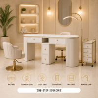 Table de manucure en contreplaqué au design contemporain avec aspirateur de poussière, un seul tiroir, deux tiroirs de rangement, pieds en métal argenté, pour salon et séjour