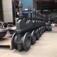 Válvula de Compuerta Criogénica de Acero Inoxidable 304L, con Cabeza Extendida, -196 ° Aplicación del tanque de almacenamiento de GNL tipo C